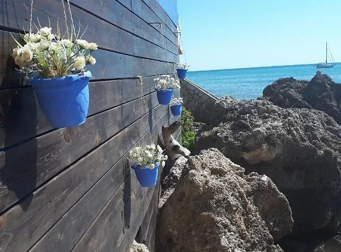 La Casa Azul * Αρκούδι